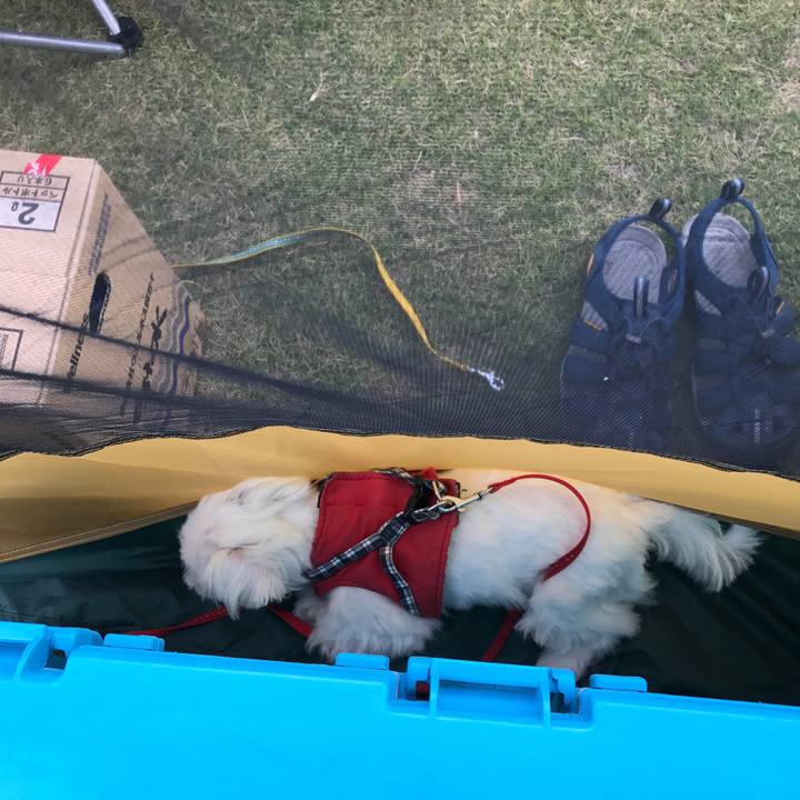 9d7b35cc 49d5 49a2 bf32 170f4b8904b3