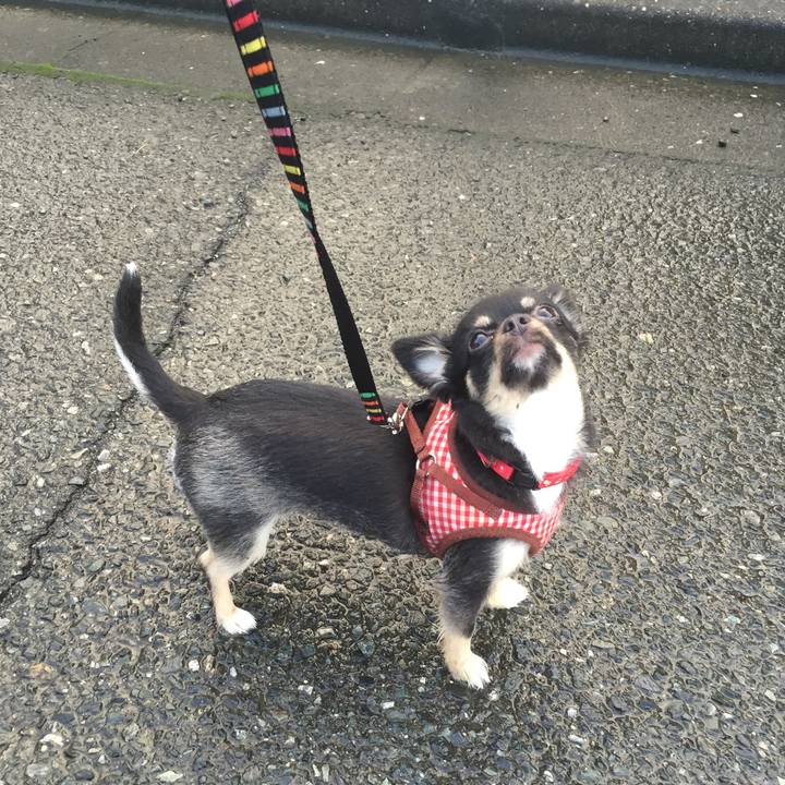 9d7b6dc9 48d8 4468 8487 139e8c00c4fe