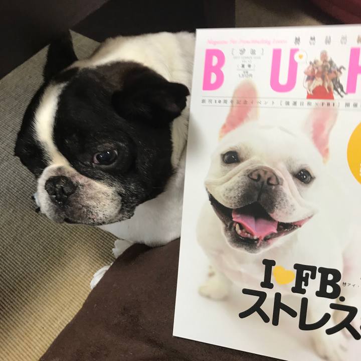 9d7c1b38 7df6 4a54 8762 01e9bae136ed