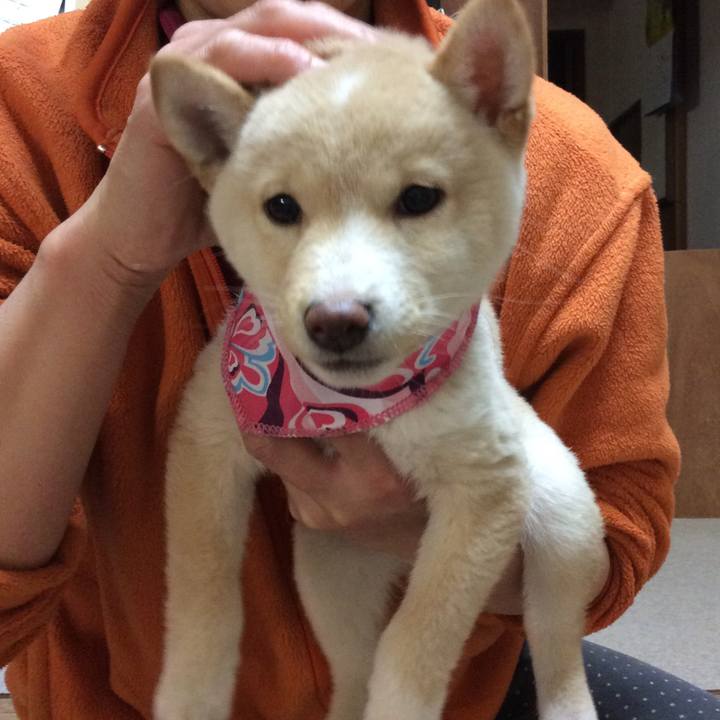 9d7c9a5c 91d4 4517 b9db d40308582ab1