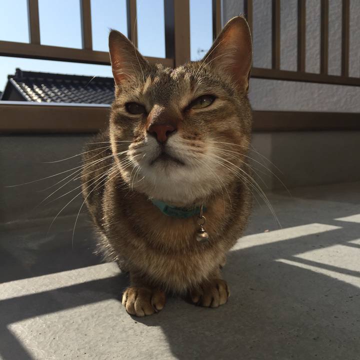 9d7cb563 6723 4130 885a c5bd649ae92b