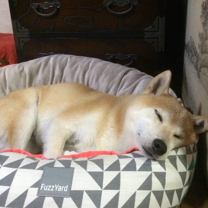 9d7d4ce7 a8d0 4873 9528 e1a2aa436192