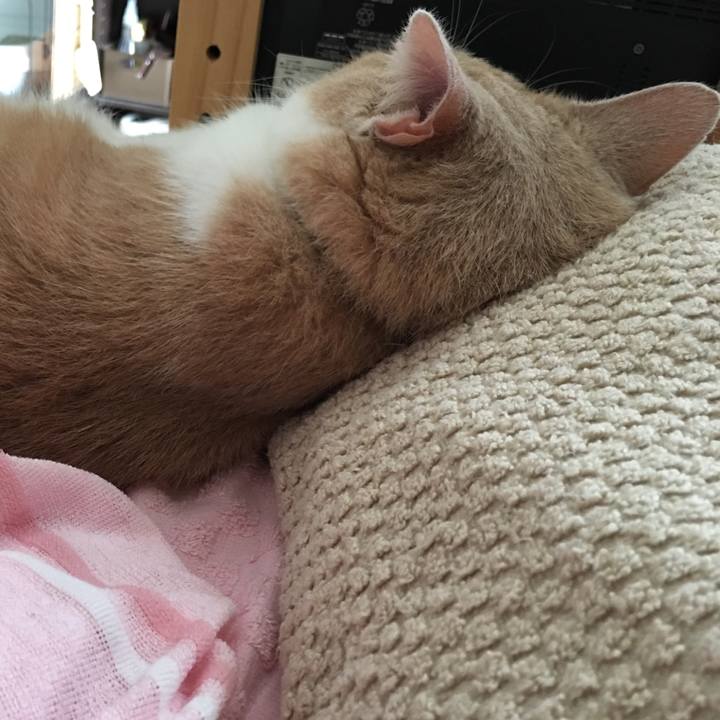 9d7e0ce0 7b6b 4bec a1be 4f17f56b7091