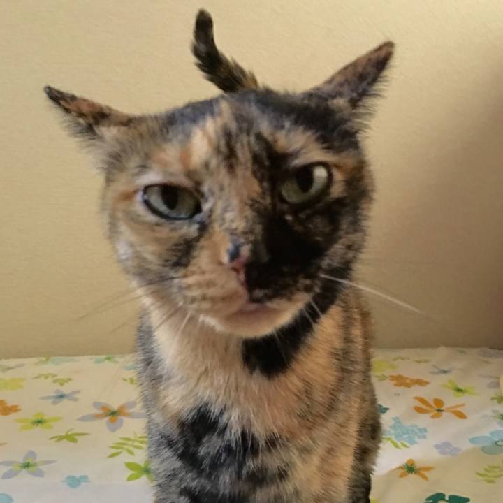 9d7e1452 47b3 42c3 9938 62fdc045e5f9