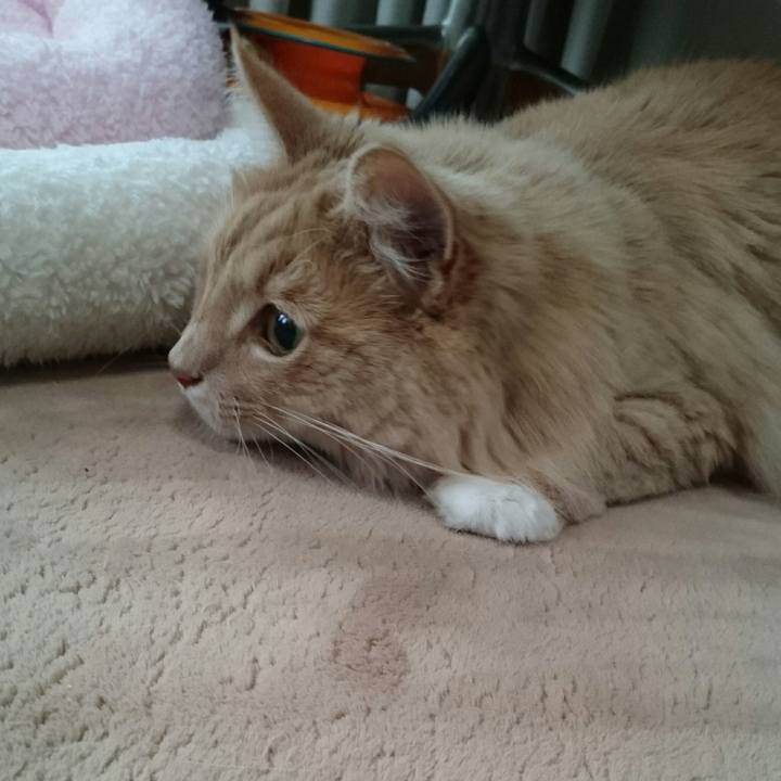 9d7eb667 76f5 4954 9801 c2a2d0d8d024