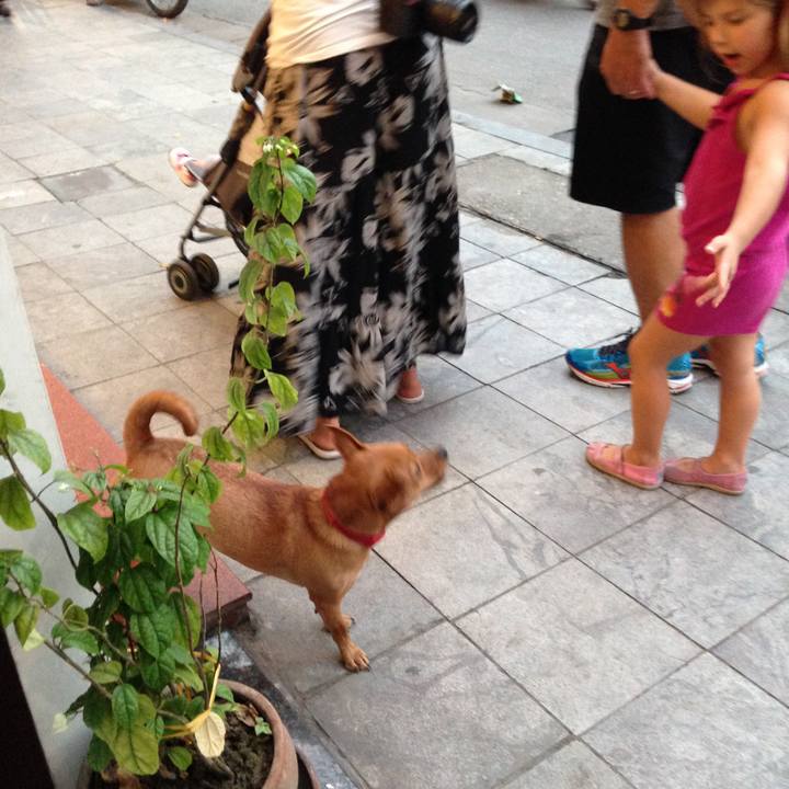 9d7f11b3 1704 48e8 bb1b c1ede3e77b61