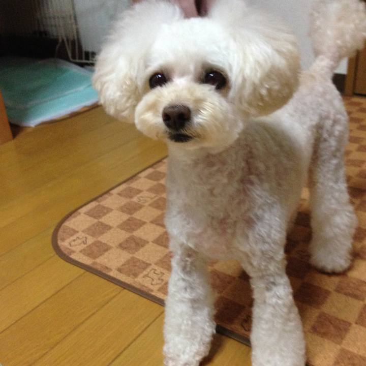 9d7f303b 3b0a 4df9 9a29 d38dd150605a