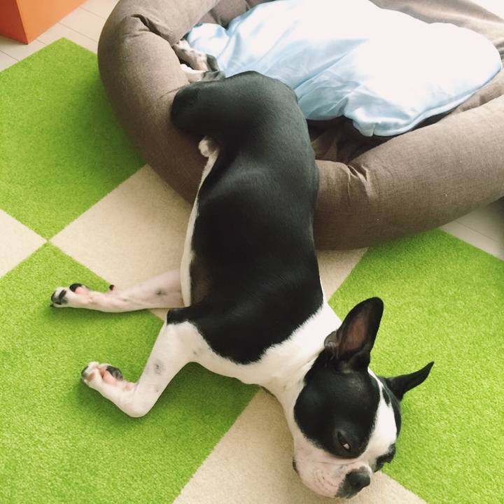 9d7f4046 53d3 4679 b0d9 63f5ae54710f