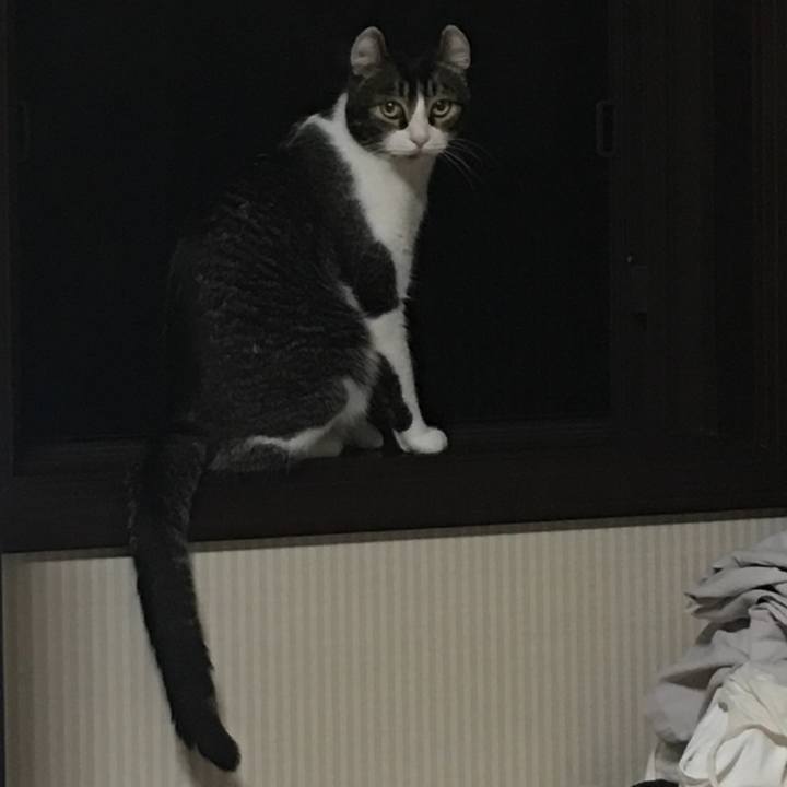 9d7f5fe5 4a91 4d25 bd39 49b2ac61a70f