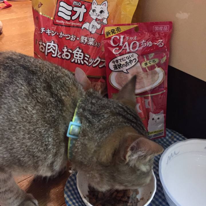 9d7fcada 25d3 46ba a440 64a1da70be10