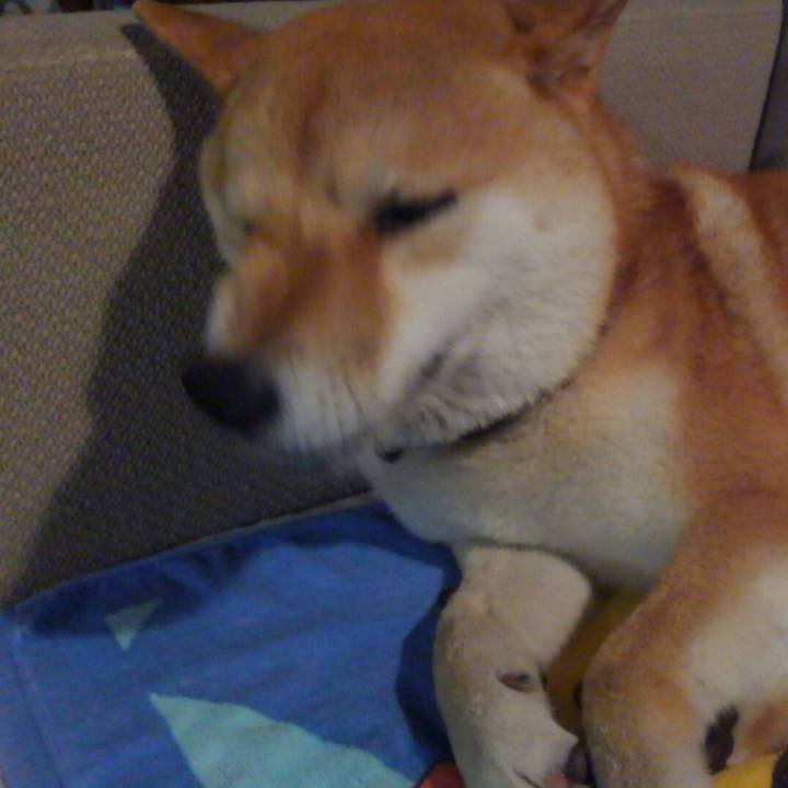 9d812ab8 7961 479d 89c2 50420e3d380f