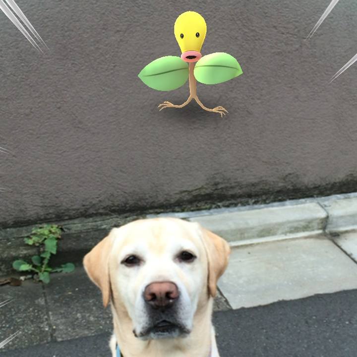 9d8134ca 2c50 419e 8929 013457f982a4