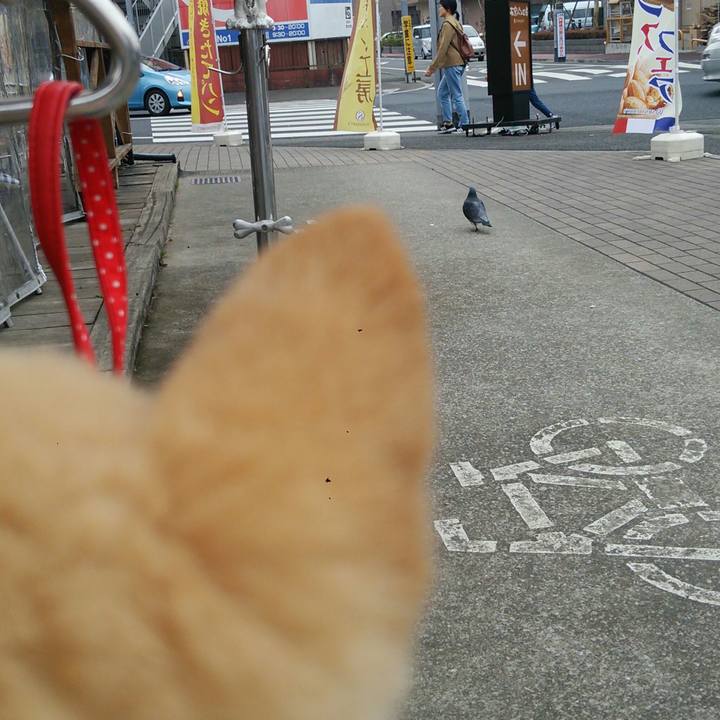 9d822c96 0663 4231 b112 144783e6a180