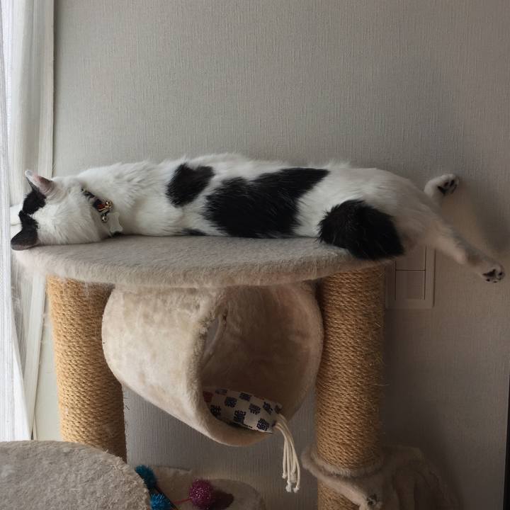 9d82819a f9c2 48c6 9b50 62f8d1aaf1fb