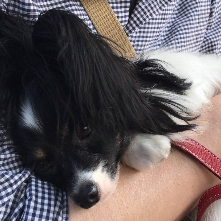 9d8282b2 196b 4351 9d3f d4a6d5435b22