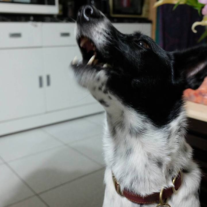 9d84f296 c02c 438f 9729 39fde8bacb17