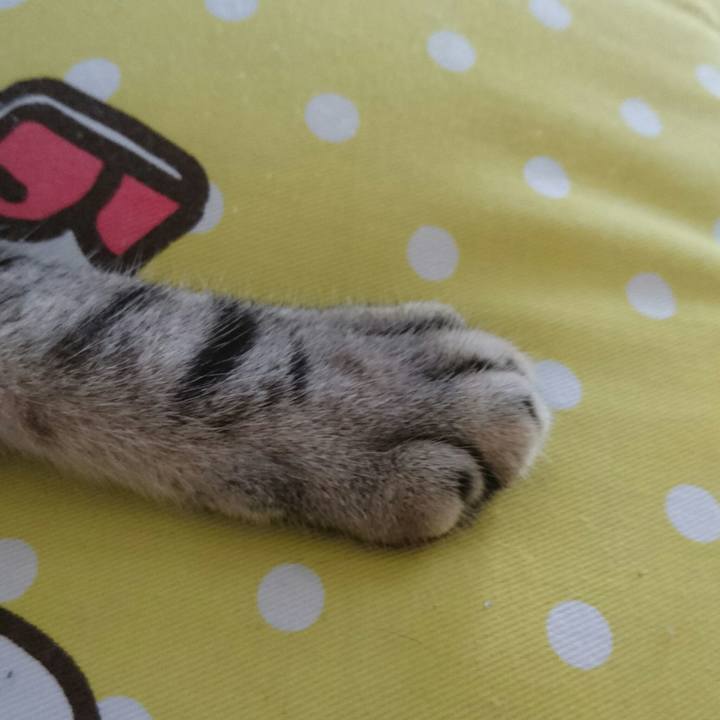 9d852ce0 1d30 44f7 afee aca1219b9be3