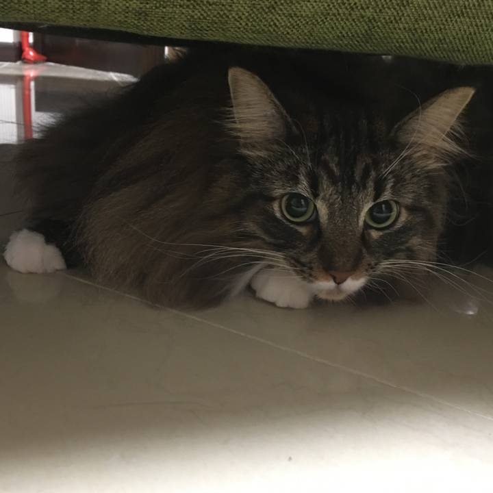 9d853b28 4be3 44e0 9363 25293dd05496