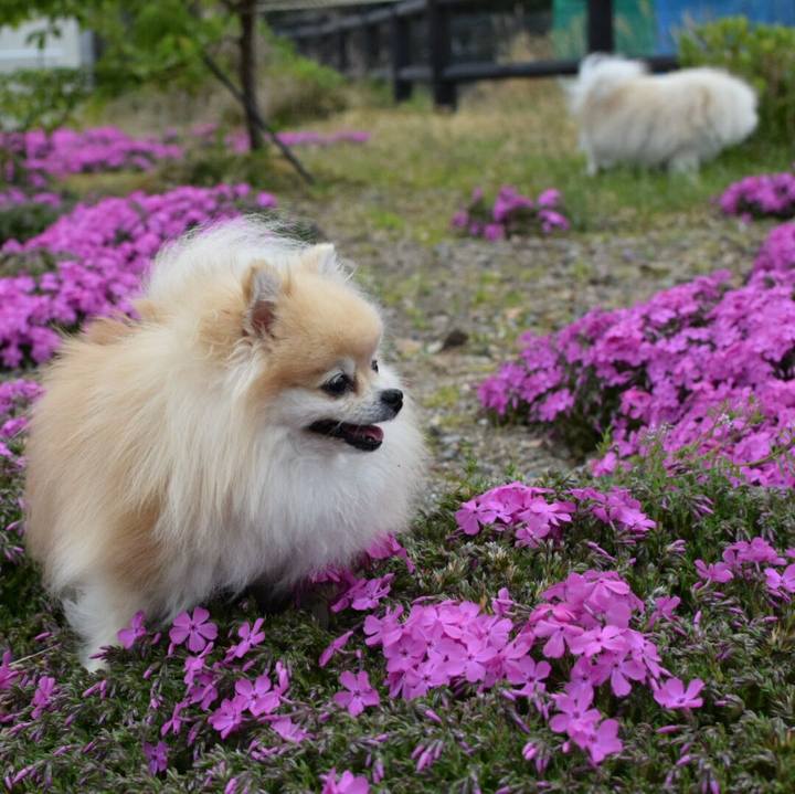 9d857aac 0ea6 4cb7 98bc 58fe1e2979e6