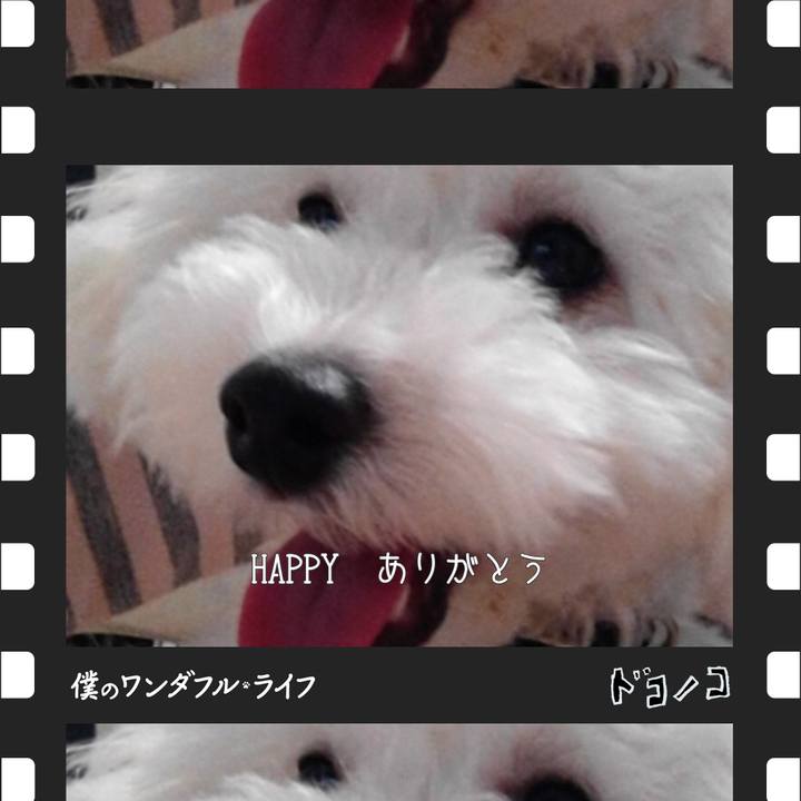 9d85cde9 0f6a 4a43 a7f2 f475803868ed