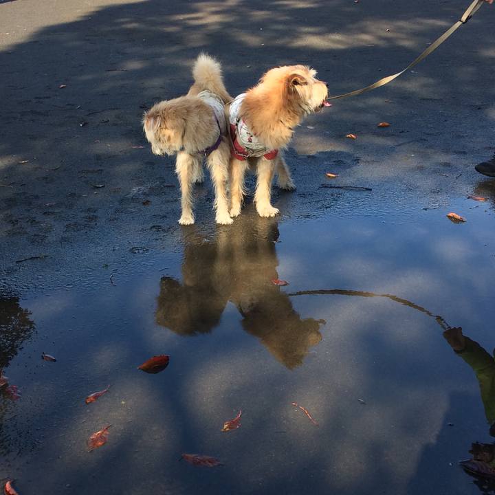 9d863c29 67cb 406a ac36 6de93b22b338