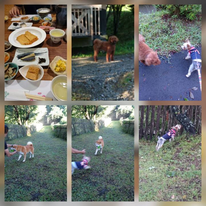 9d866e8e 0e9e 4659 b2e9 ccab314b0359