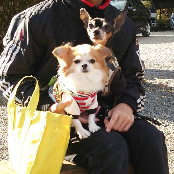 9d869bbb 9e13 45d8 956d 9ecb81a731a1