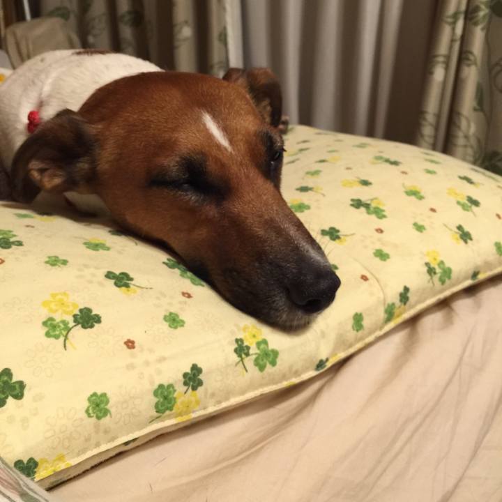 9d86c729 6beb 4f06 b9c3 e25c9716a927