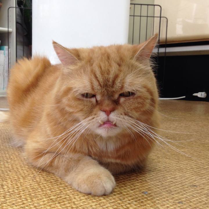 9d877f7b c270 4b80 9db8 37e2304d192f