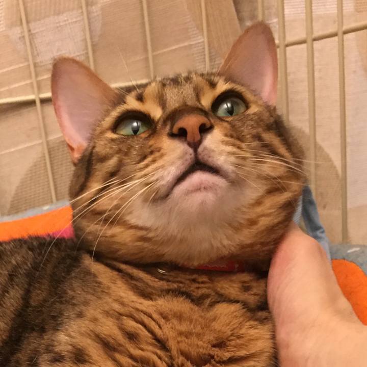 9d888afd db42 4d52 a513 f3cc3ed2ea71