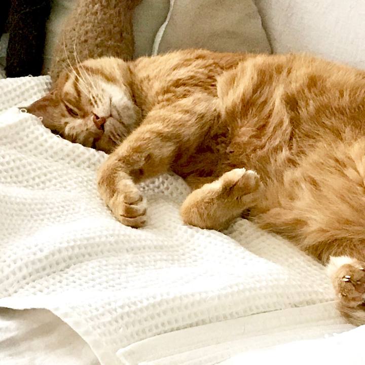 9d890ab8 bed6 4ade 89ae 902522297bfb