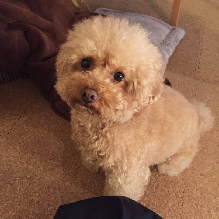 9d892451 9bc2 4a8d a907 94afbaa26a67