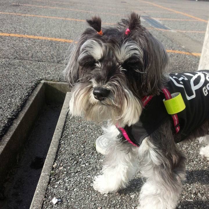 9d892ddd d6db 4347 a0b6 05eb26437bed