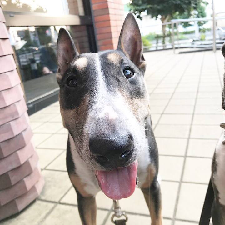 9d892ec6 e13f 4e9e a301 2e88aa03a35a