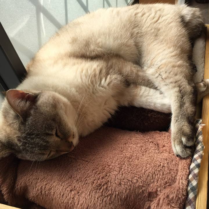 9d892edc 929f 4372 ad12 dc9502fe4598