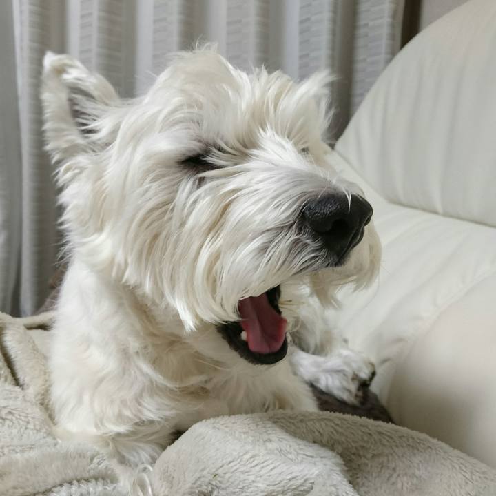 9d89efd5 ef85 4ac9 a57d e0281ccf57e6