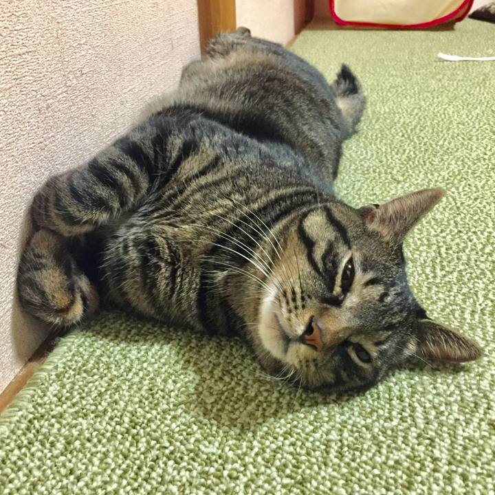 9d8b552c 8c71 4684 ba2f 34eb090287d8