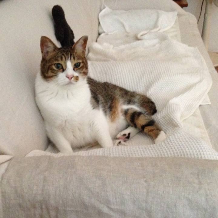 9d8c4c98 01ae 441a 8c64 296a0f140f08