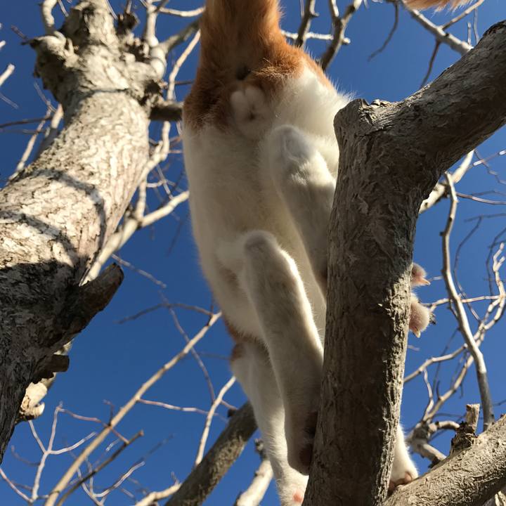 9d8d84e5 8d31 4ec6 9261 39653c9079cf