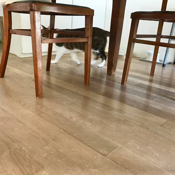 9d8df03a 7529 461e 8d2d 02f9a7a19967