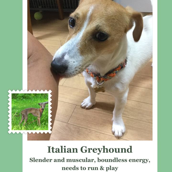 9d8e6285 4792 4da3 b8e1 35e667991db1