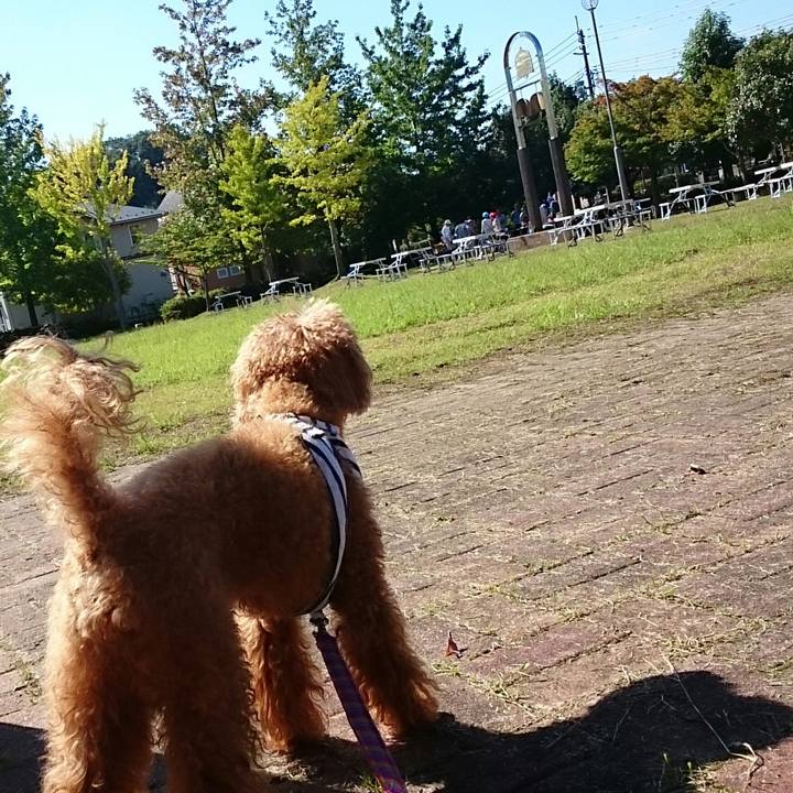 9d8e9f3f 4eb4 4511 994e c6e106ca0296