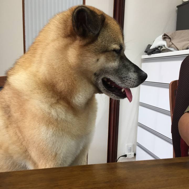 9d8ef14d c3d7 40fd 9f54 e0593db0b823