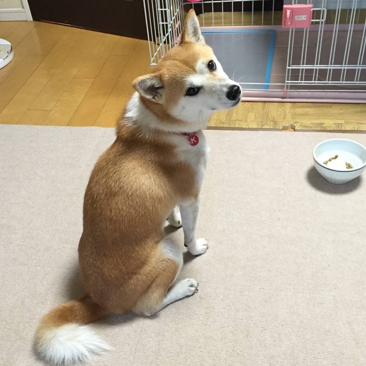 9d8ef32a bc81 469d b193 bdc4d61416f8