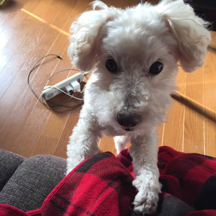 9d8f52a2 5e42 4477 a5f5 3c3e4bde9311