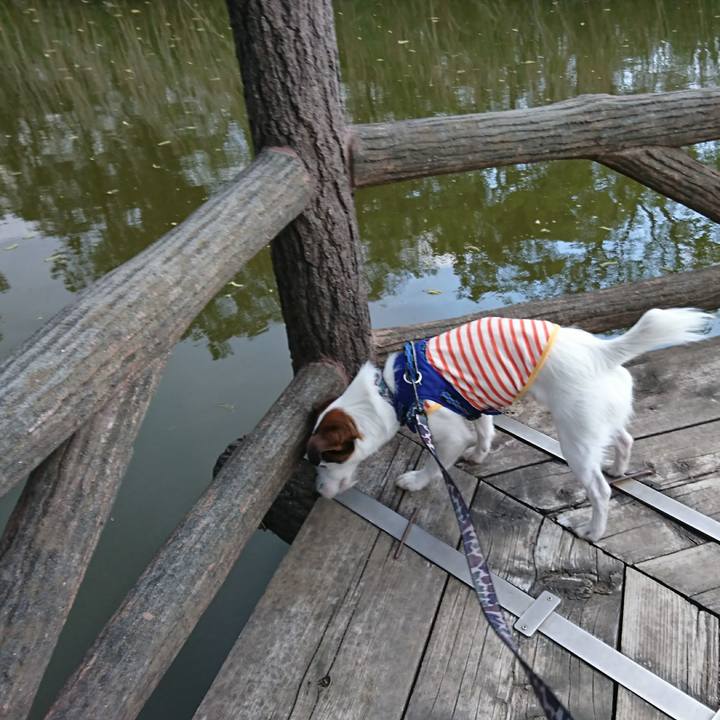 9d8f927b c761 4705 b699 35cb0e896723