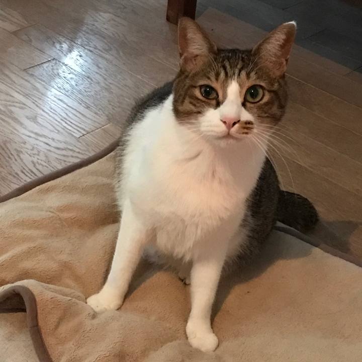 9d8ffc77 9dde 4344 8ecd 9f4ec7965d00