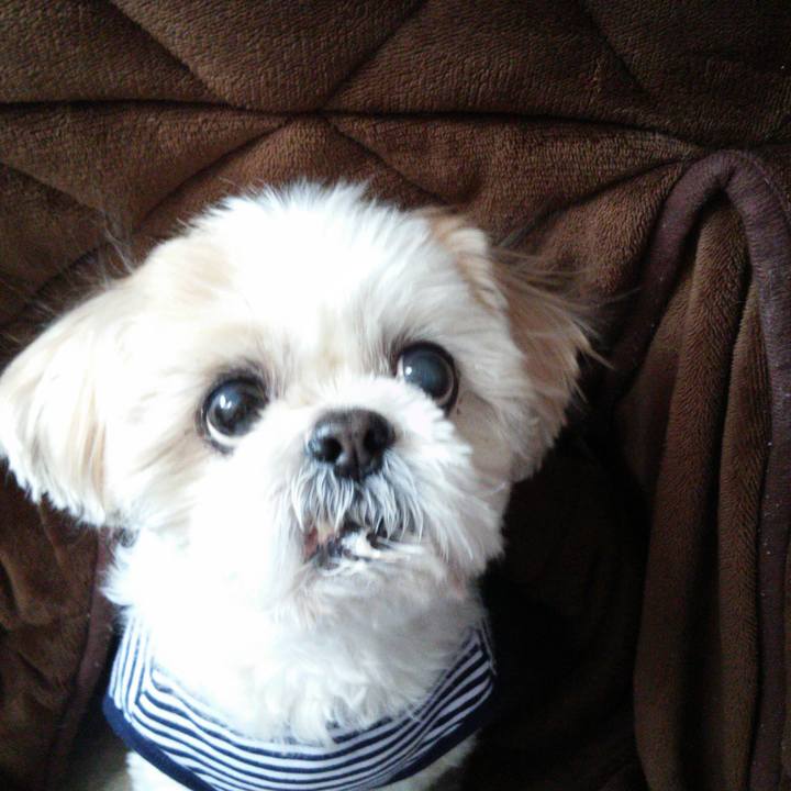 9d91c63d d6ca 4f7a 9df5 ca248c0030aa