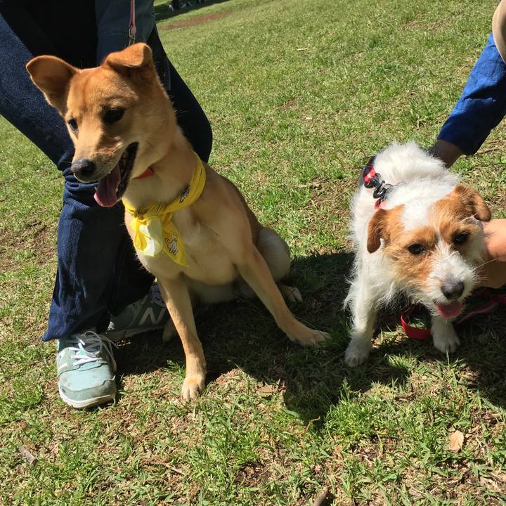 9d91e29f 3f1e 469d 9ff4 21113c5f601a