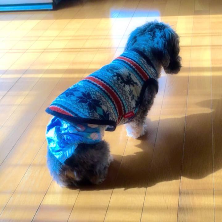 9d91ee4d a938 43aa acc5 eb1002c96da9